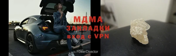 индика Гусь-Хрустальный